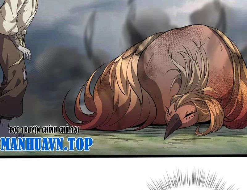 Xuyên Không Đến Thế Giới Tu Chân, Ta Vậy Mà Kích Hoạt Được Hệ Thống Plants vs Zombie Chapter 9 - Trang 3