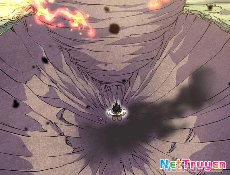 Xuyên Không Đến Thế Giới Tu Chân, Ta Vậy Mà Kích Hoạt Được Hệ Thống Plants vs Zombie Chapter 10 - Trang 3