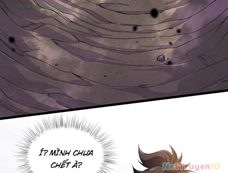 Xuyên Không Đến Thế Giới Tu Chân, Ta Vậy Mà Kích Hoạt Được Hệ Thống Plants vs Zombie Chapter 10 - Trang 3