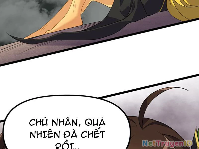 Xuyên Không Đến Thế Giới Tu Chân, Ta Vậy Mà Kích Hoạt Được Hệ Thống Plants vs Zombie Chapter 10 - Trang 3