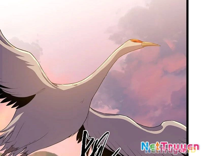Xuyên Không Đến Thế Giới Tu Chân, Ta Vậy Mà Kích Hoạt Được Hệ Thống Plants vs Zombie Chapter 10 - Trang 3