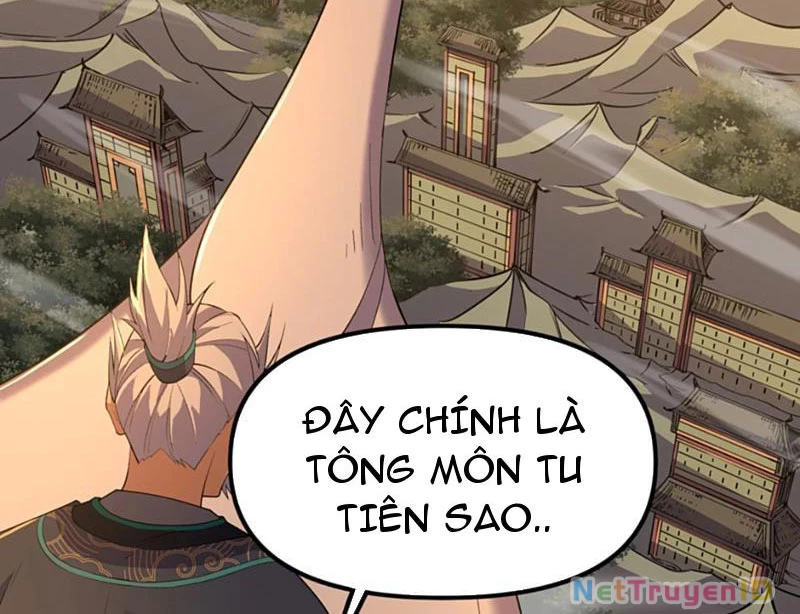 Xuyên Không Đến Thế Giới Tu Chân, Ta Vậy Mà Kích Hoạt Được Hệ Thống Plants vs Zombie Chapter 10 - Trang 3