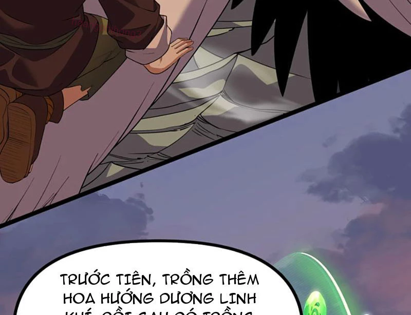 Xuyên Không Đến Thế Giới Tu Chân, Ta Vậy Mà Kích Hoạt Được Hệ Thống Plants vs Zombie Chapter 10 - Trang 3
