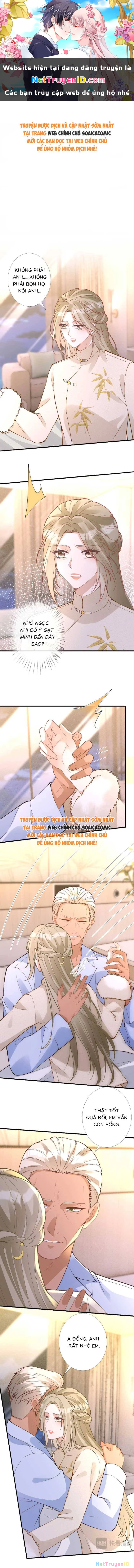 Ôm Khẩn Tiểu Mã Giáp Của Tôi Chapter 354 - Trang 4