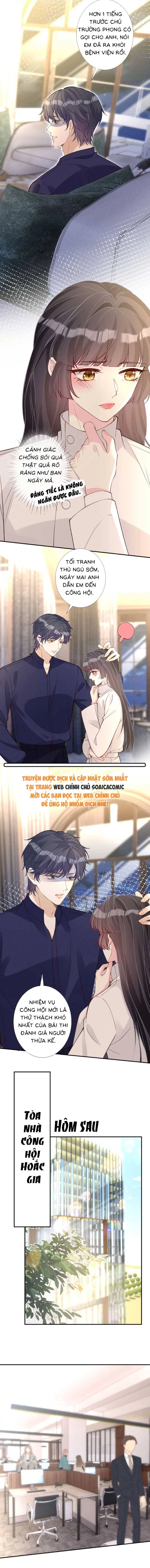 Ôm Khẩn Tiểu Mã Giáp Của Tôi Chapter 354 - Trang 4