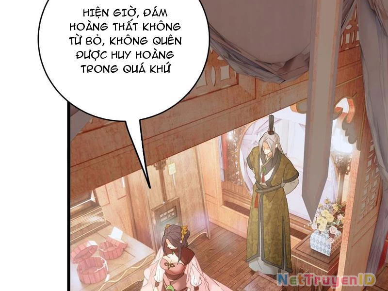 Đại Thừa Kỳ Mới Có Nghịch Tập Hệ Thống Chapter 55 - Trang 3