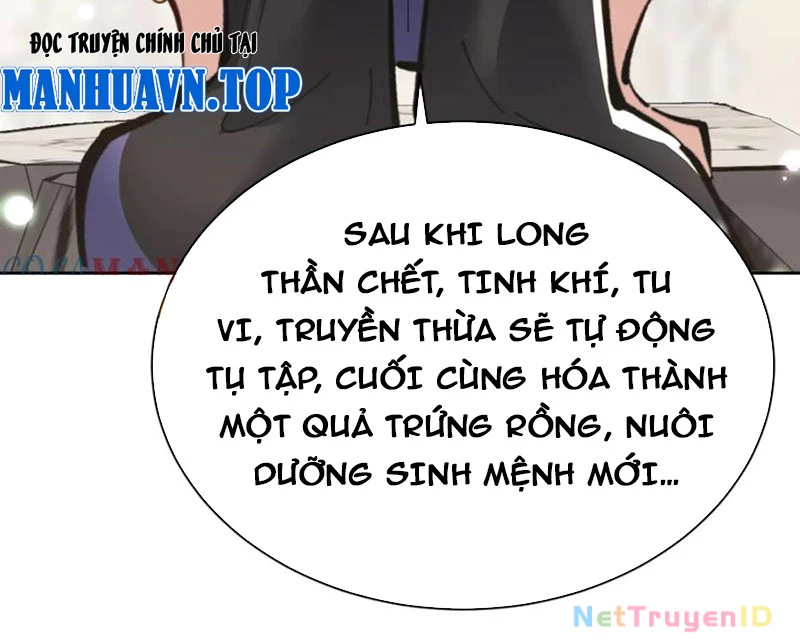 Sư Tôn: Nghịch Đồ Này Mới Không Phải Là Thánh Tử Chapter 116 - Trang 2