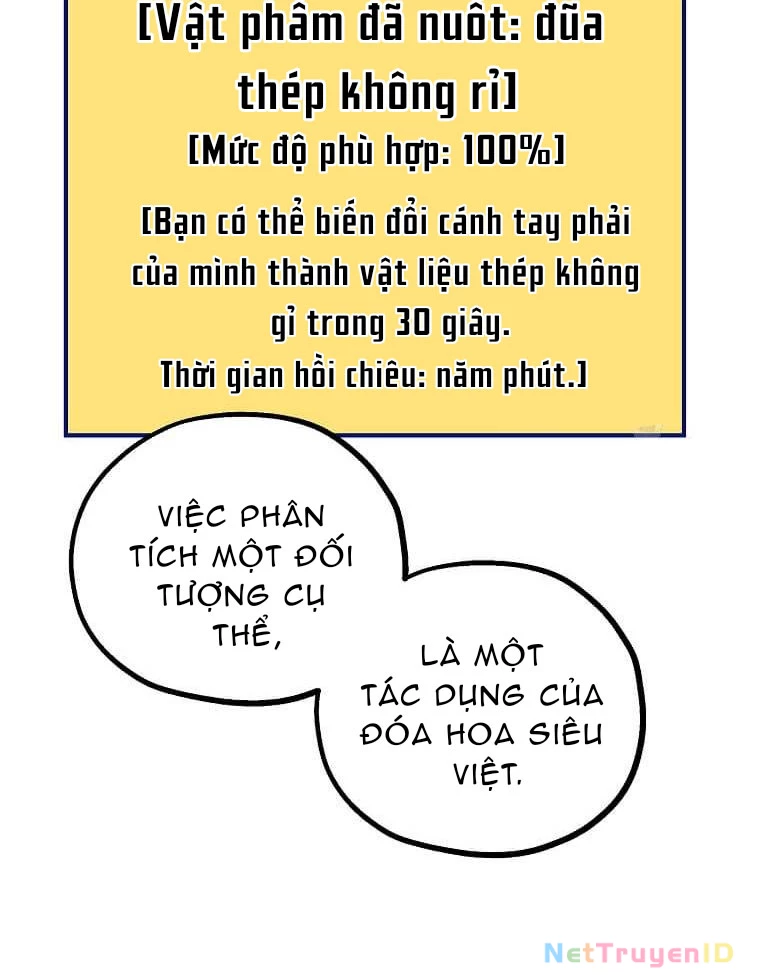 Tôi Đã Đạt Đến Cấp Độ Tối Đa Và Quay Trở Lại Chapter 17 - Trang 3