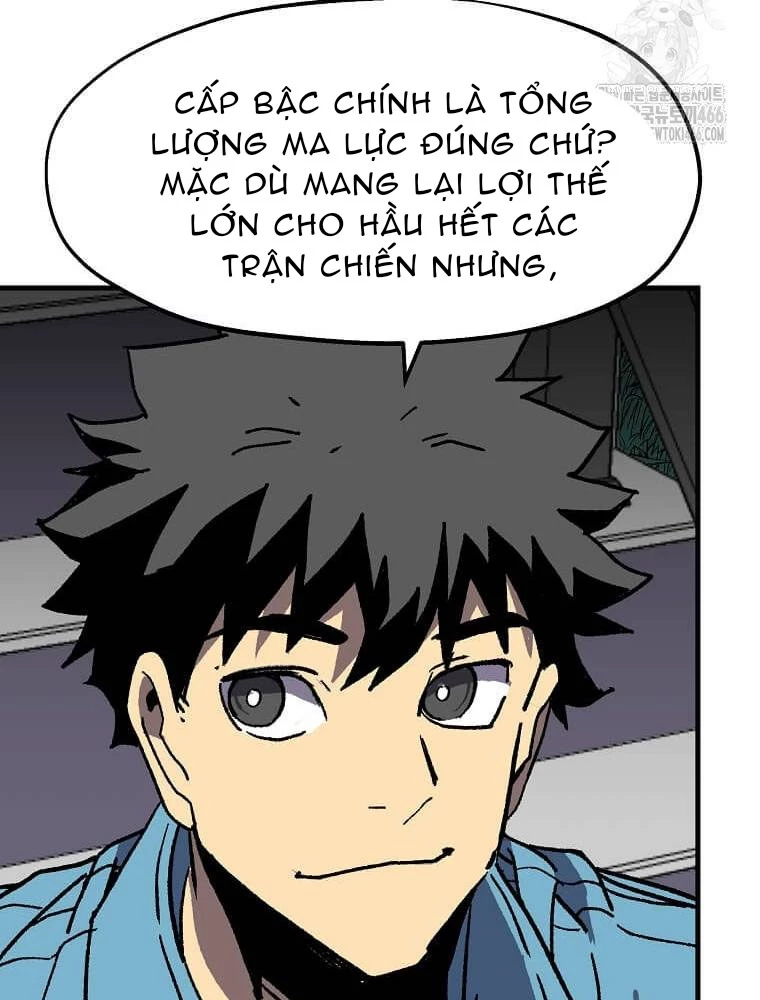 Tôi Đã Đạt Đến Cấp Độ Tối Đa Và Quay Trở Lại Chapter 19 - Trang 3