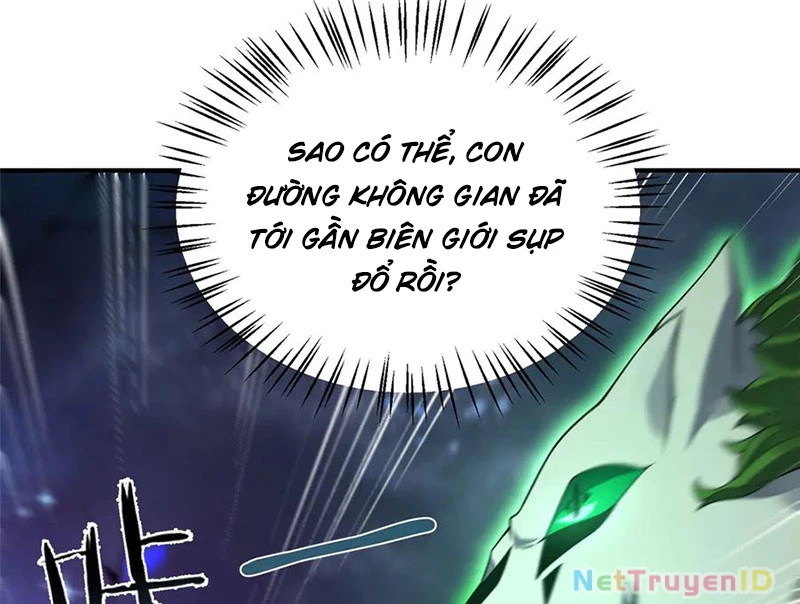 Thần Sủng Tiến Hóa Chapter 386 - Trang 4