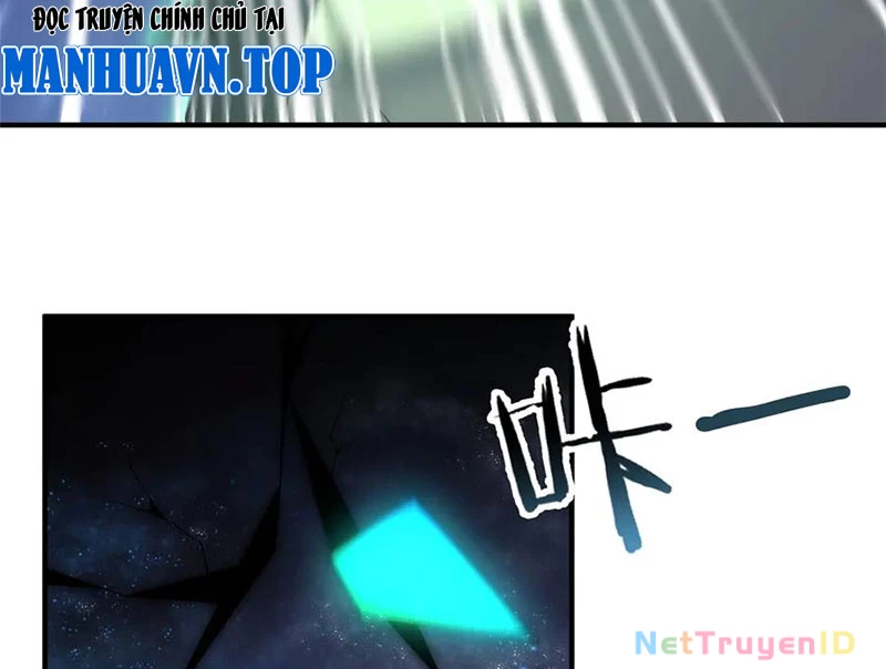 Thần Sủng Tiến Hóa Chapter 386 - Trang 4