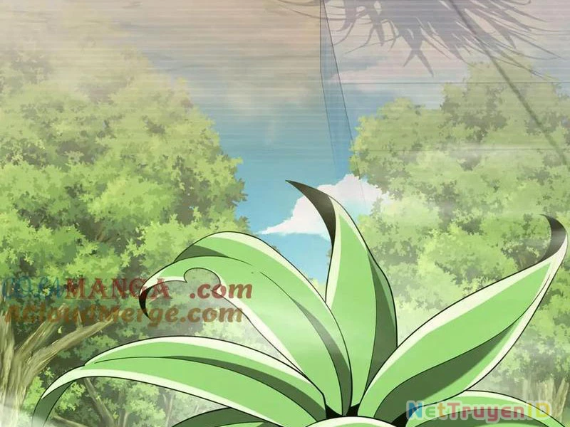 Ma tu tái sinh: Khởi đầu nhặt được một hành tinh zombie Chapter 29 - Trang 4