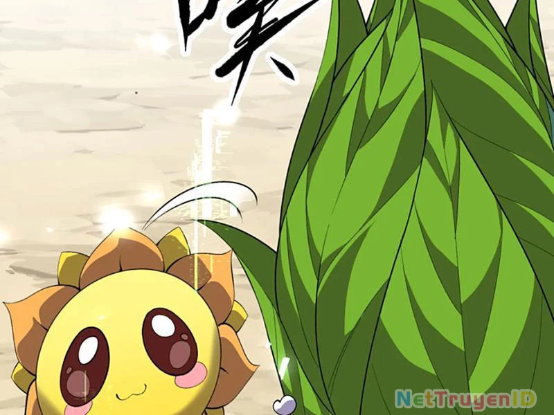 Xuyên Không Đến Thế Giới Tu Chân, Ta Vậy Mà Kích Hoạt Được Hệ Thống Plants vs Zombie Chapter 11 - Next Chapter 12