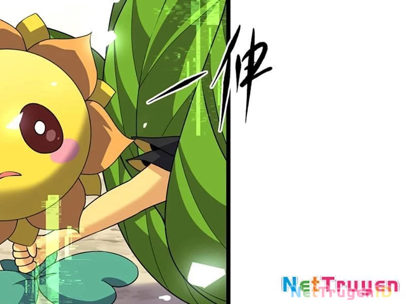 Xuyên Không Đến Thế Giới Tu Chân, Ta Vậy Mà Kích Hoạt Được Hệ Thống Plants vs Zombie Chapter 11 - Trang 3