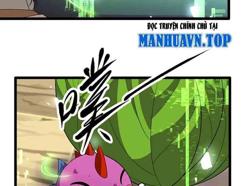 Xuyên Không Đến Thế Giới Tu Chân, Ta Vậy Mà Kích Hoạt Được Hệ Thống Plants vs Zombie Chapter 11 - Trang 3
