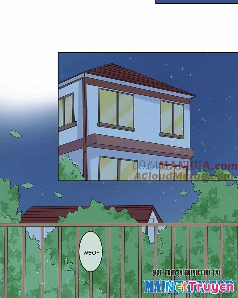 Bạn Cùng Bàn Của Tôi Nổi Tiếng Là Mèo Chapter 27 - Trang 2