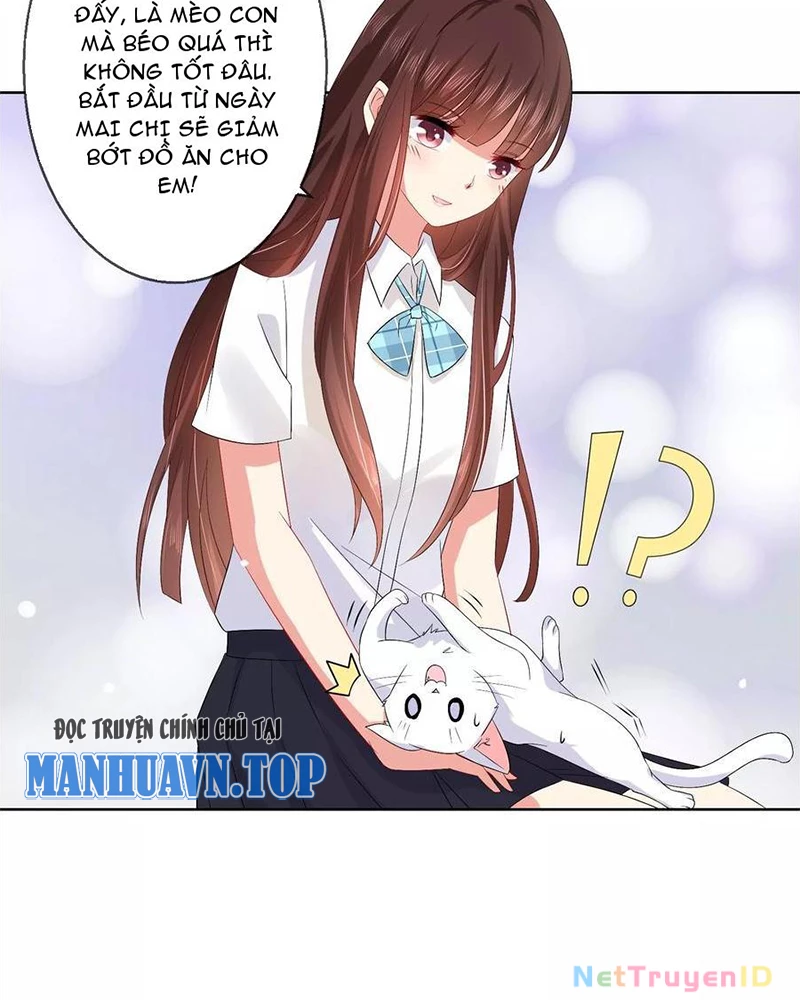 Bạn Cùng Bàn Của Tôi Nổi Tiếng Là Mèo Chapter 27 - Trang 2