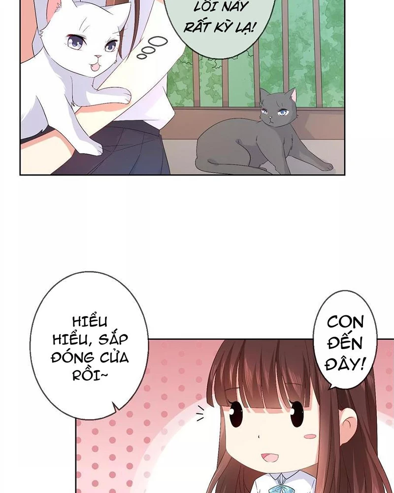 Bạn Cùng Bàn Của Tôi Nổi Tiếng Là Mèo Chapter 27 - Trang 2