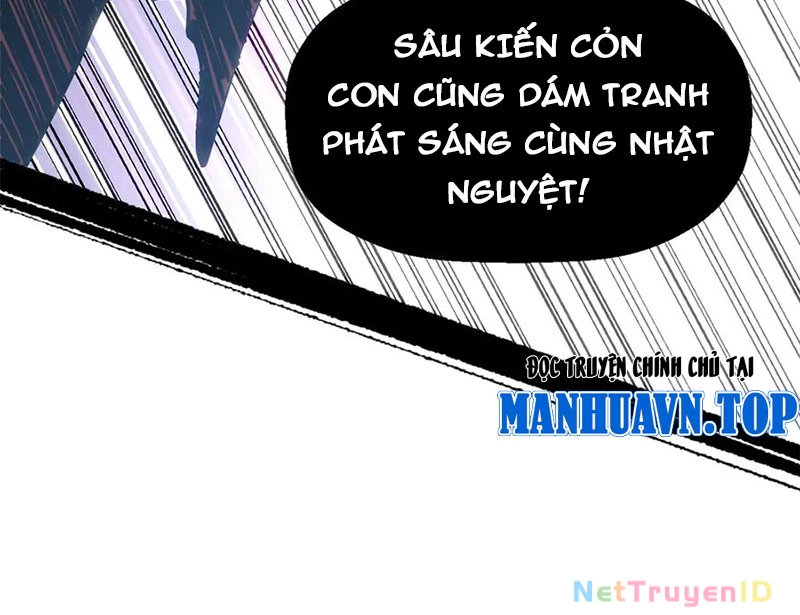 Đỉnh Cấp Khí Vận, Lặng Lẽ Tu Luyện Ngàn Năm Chapter 207 - Trang 2