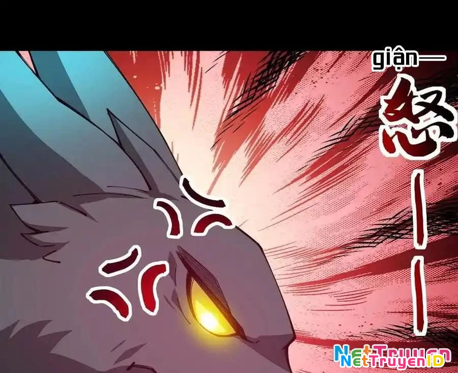 Sức Mạnh Của Kiếm Thần Chapter 80 - Trang 4