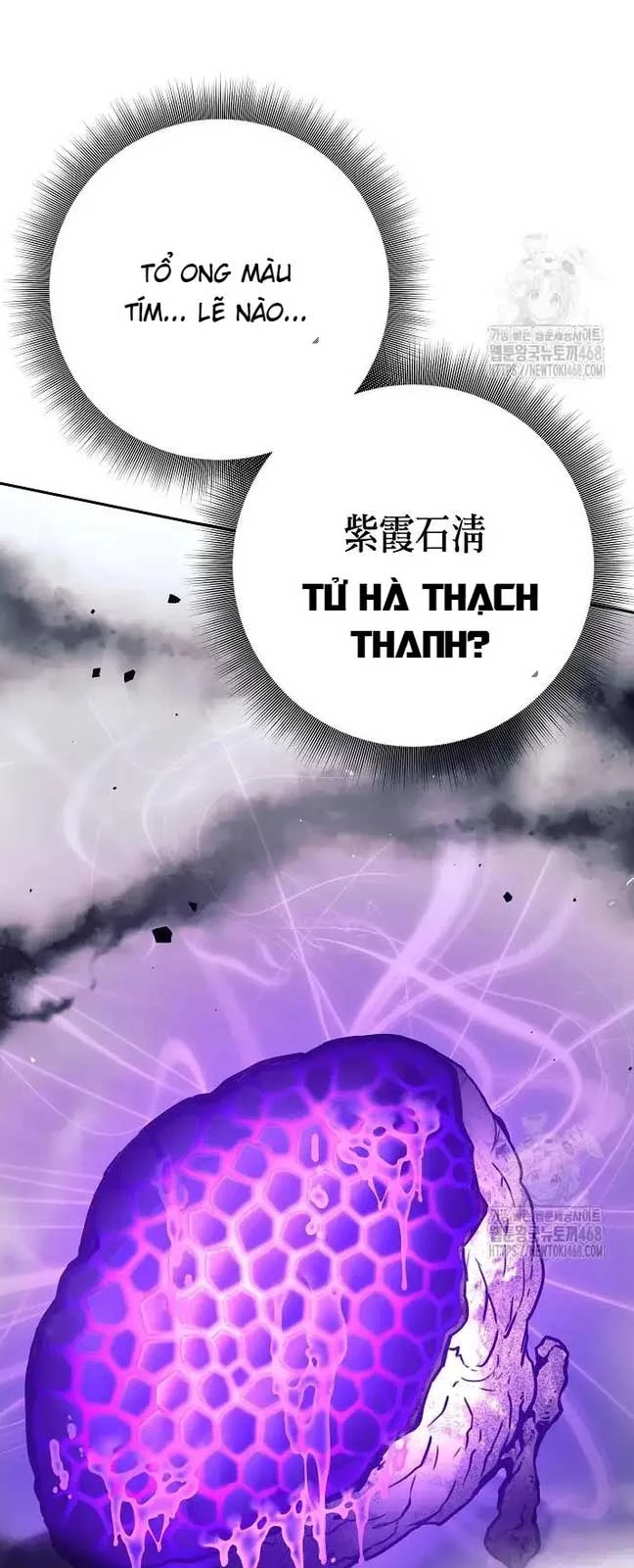Đứa Con Ngoài Giá Thú Có Khả Năng Hấp Thụ Vũ Khí Chapter 13 - Trang 3
