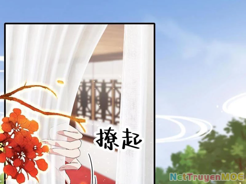 Hoá Ra Ta Đã Vô Địch Từ Lâu Chapter 265 - Trang 4