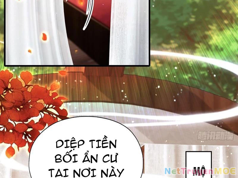 Hoá Ra Ta Đã Vô Địch Từ Lâu Chapter 265 - Trang 4