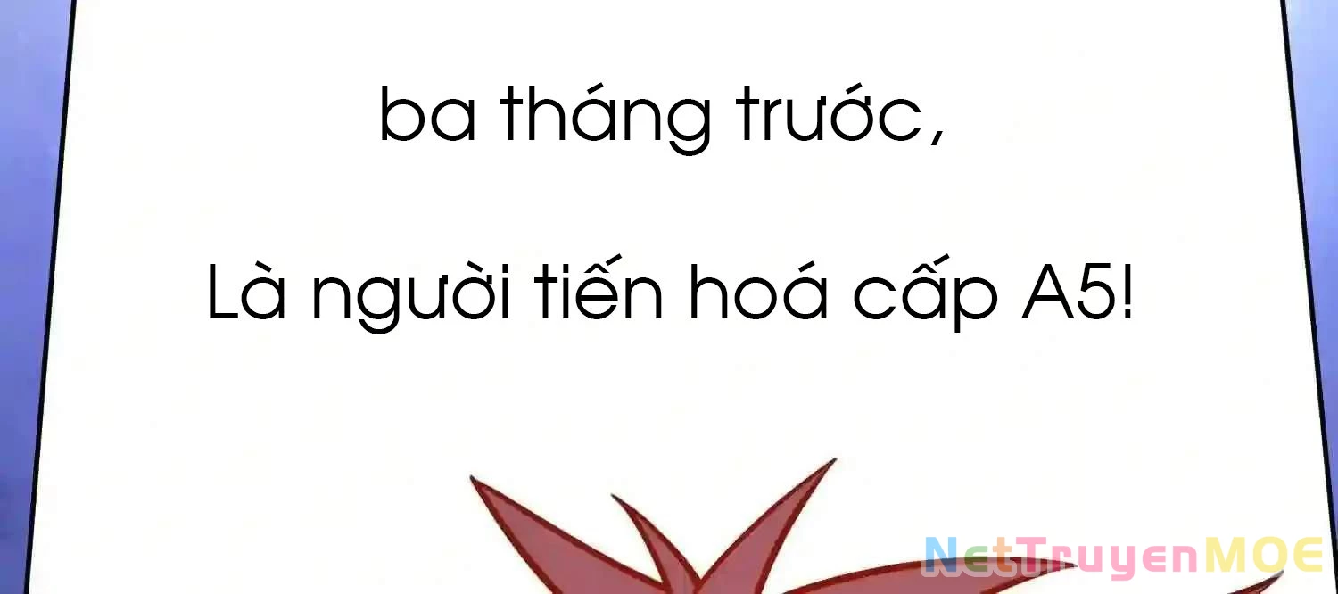 Mắt Phải Của Ta Là Thần Cấp Máy Tính Chapter 143 - Next Chapter 144