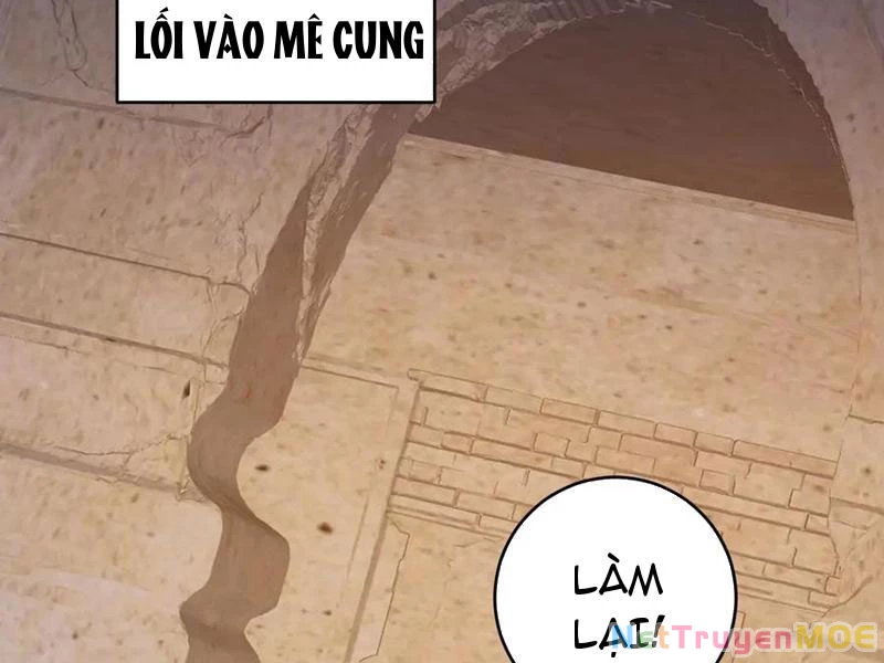 Mạt Nhật Thiên Hạ: Ta, Virus Quân Vương Chapter 56 - Trang 4