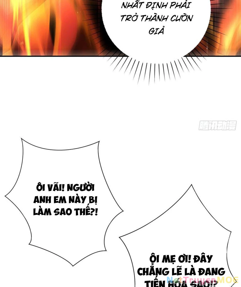 Dị Năng Trùng Sinh Ta Sớm Ở Đỉnh Cao Chapter 3 - Trang 4