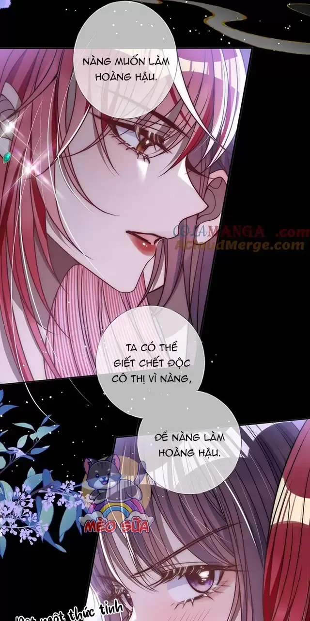 Nuông Chiều Mỹ Nhân Cuồng Nhiệt Chapter 13 - Next Chapter 14