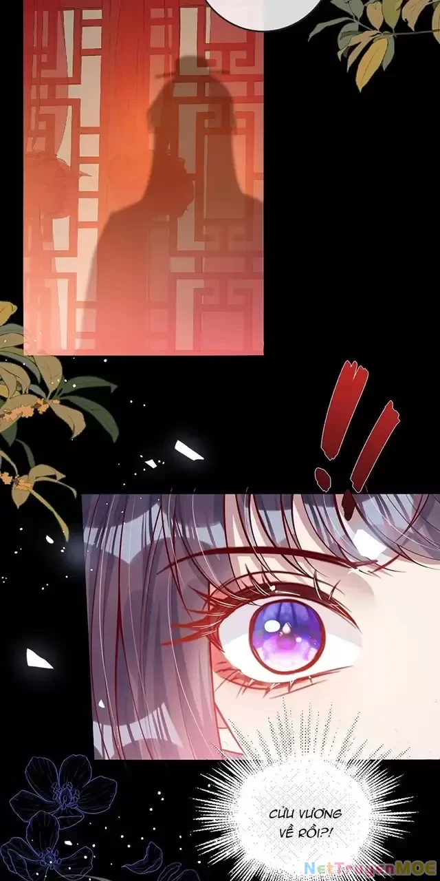 Nuông Chiều Mỹ Nhân Cuồng Nhiệt Chapter 13 - Trang 3