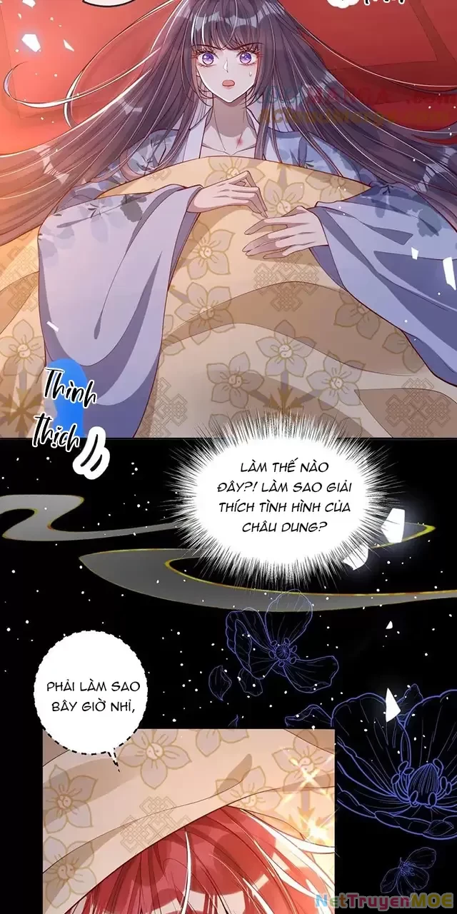 Nuông Chiều Mỹ Nhân Cuồng Nhiệt Chapter 13 - Next Chapter 14