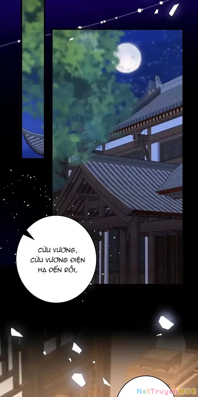 Nuông Chiều Mỹ Nhân Cuồng Nhiệt Chapter 13 - Trang 3