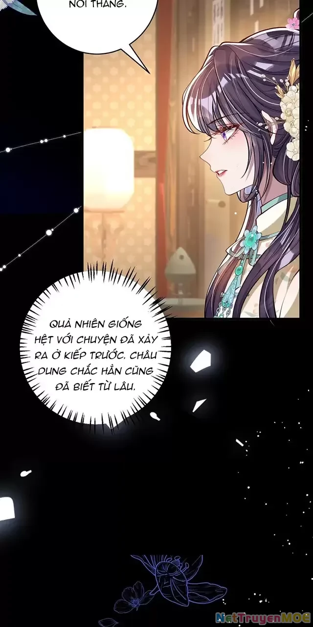 Nuông Chiều Mỹ Nhân Cuồng Nhiệt Chapter 13 - Next Chapter 14