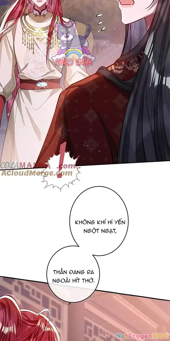 Nuông Chiều Mỹ Nhân Cuồng Nhiệt Chapter 16 - Trang 3