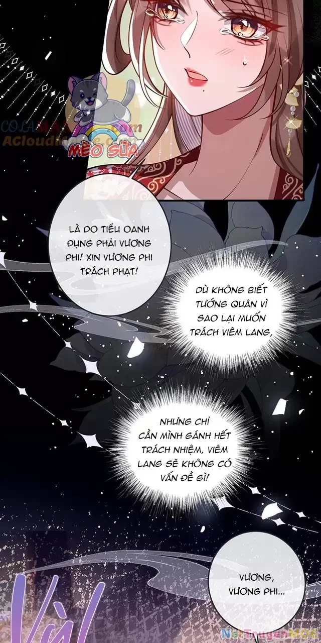 Nuông Chiều Mỹ Nhân Cuồng Nhiệt Chapter 16 - Next Chapter 17