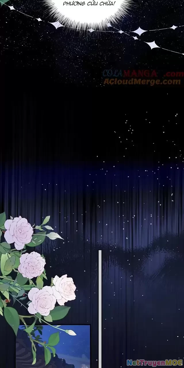 Nuông Chiều Mỹ Nhân Cuồng Nhiệt Chapter 16 - Trang 3
