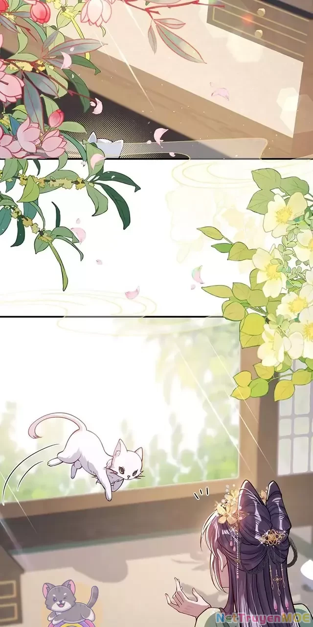 Nuông Chiều Mỹ Nhân Cuồng Nhiệt Chapter 17 - Trang 3