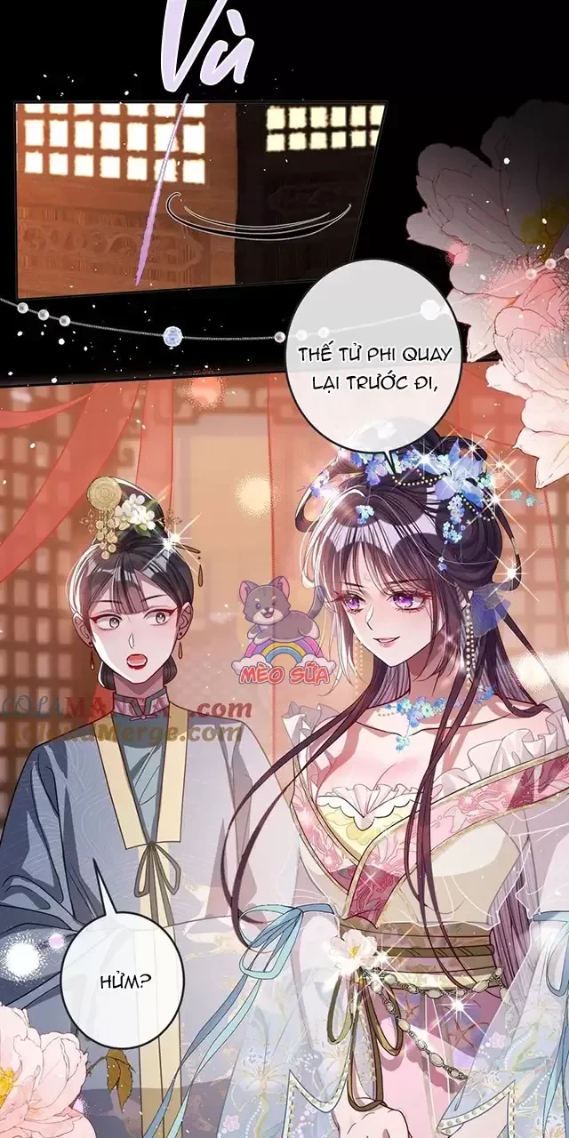 Nuông Chiều Mỹ Nhân Cuồng Nhiệt Chapter 18 - Trang 3