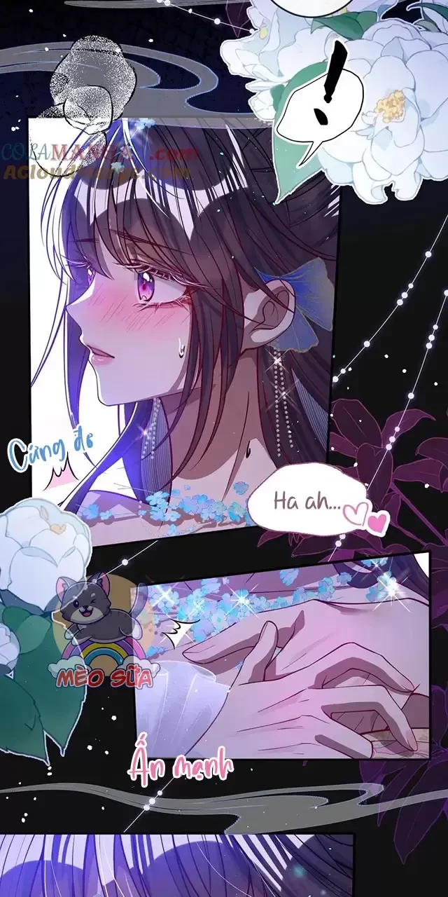 Nuông Chiều Mỹ Nhân Cuồng Nhiệt Chapter 19 - Next Chapter 20