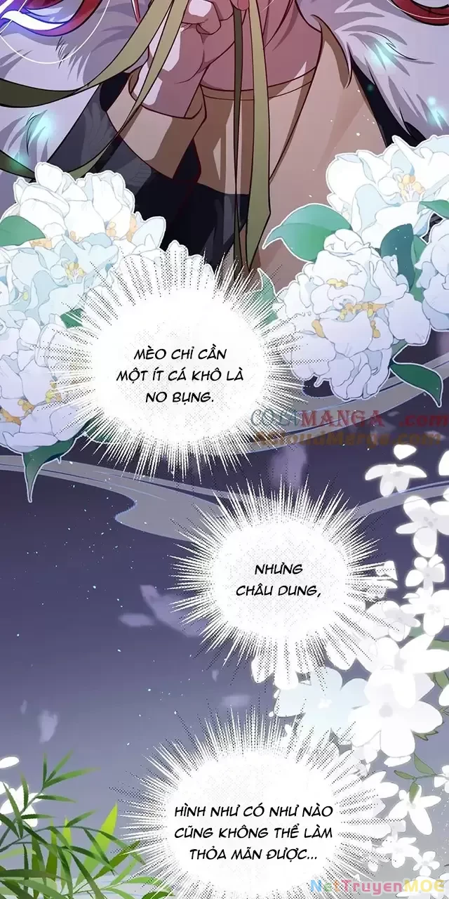 Nuông Chiều Mỹ Nhân Cuồng Nhiệt Chapter 19 - Next Chapter 20