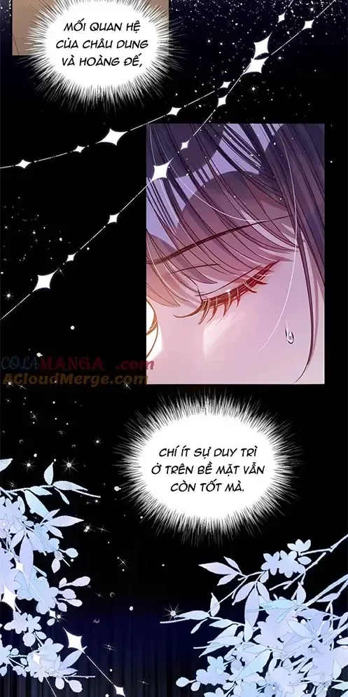 Nuông Chiều Mỹ Nhân Cuồng Nhiệt Chapter 23 - Trang 3