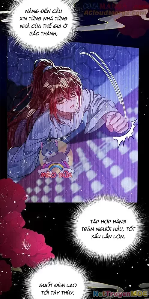 Nuông Chiều Mỹ Nhân Cuồng Nhiệt Chapter 23 - Trang 3