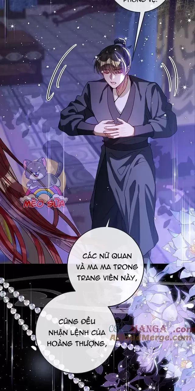 Nuông Chiều Mỹ Nhân Cuồng Nhiệt Chapter 24 - Trang 3
