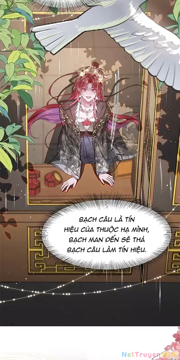 Nuông Chiều Mỹ Nhân Cuồng Nhiệt Chapter 26 - Trang 3