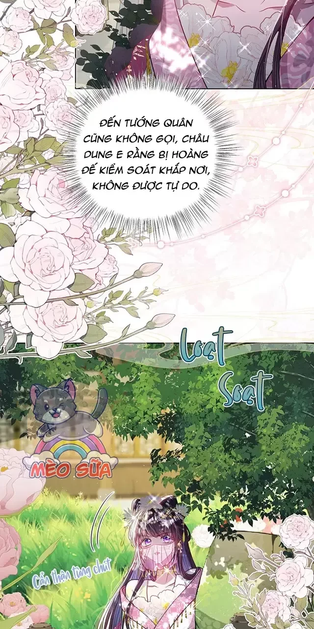 Nuông Chiều Mỹ Nhân Cuồng Nhiệt Chapter 26 - Trang 3