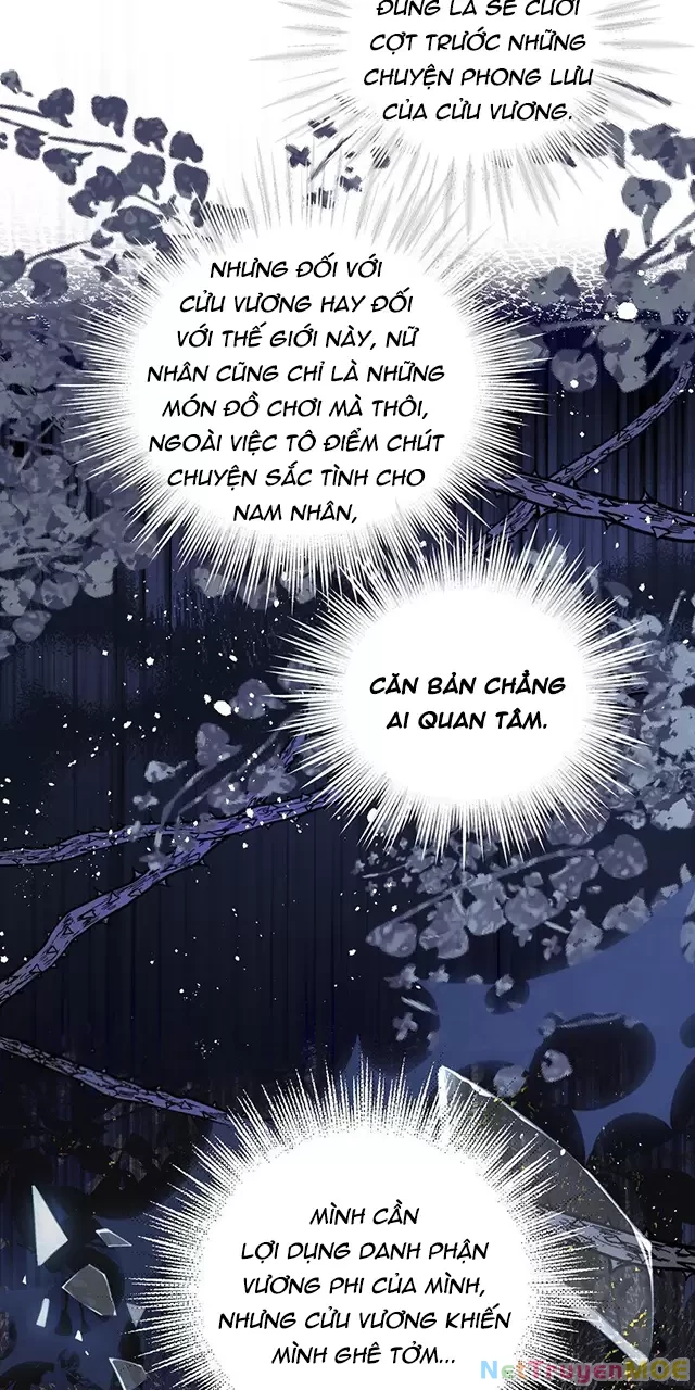 Nuông Chiều Mỹ Nhân Cuồng Nhiệt Chapter 40 - Next Chapter 41