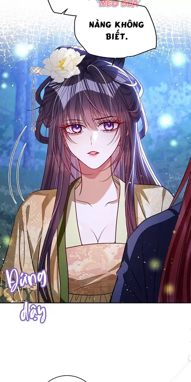 Nuông Chiều Mỹ Nhân Cuồng Nhiệt Chapter 46 - Trang 4