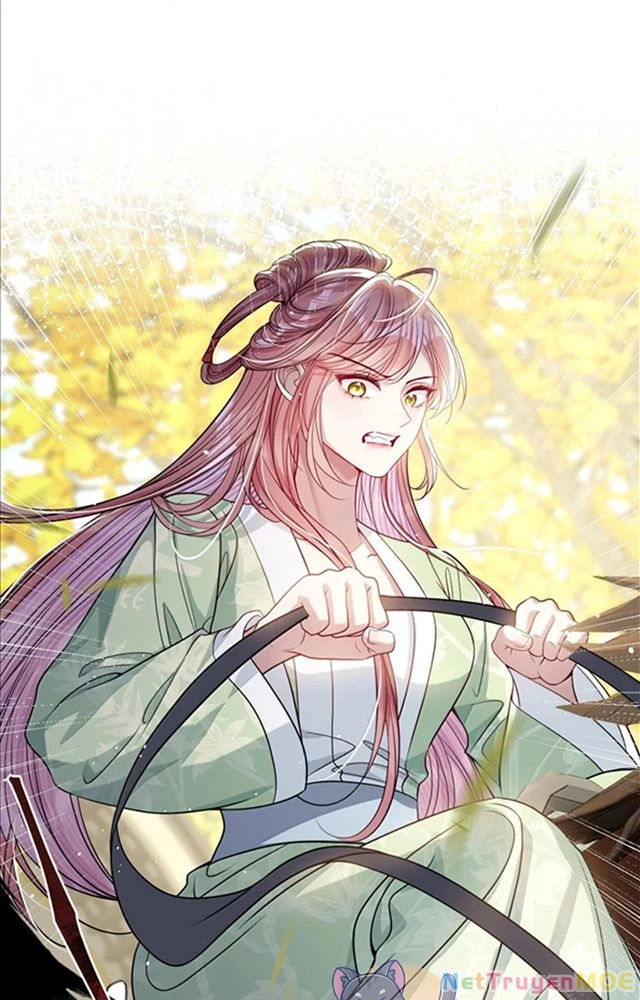 Nuông Chiều Mỹ Nhân Cuồng Nhiệt Chapter 51 - Trang 4